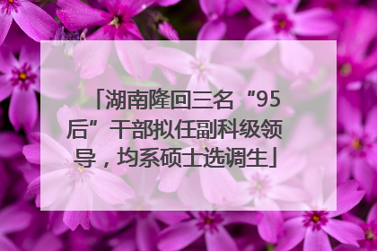 湖南隆回三名“95后”干部拟任副科级领导，均系硕士选调生